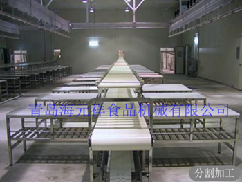 2 双层 分割输送线.jpg